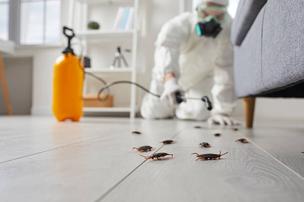 Post-Treatment Bed Bug Interceptor Monitoring in Troup
