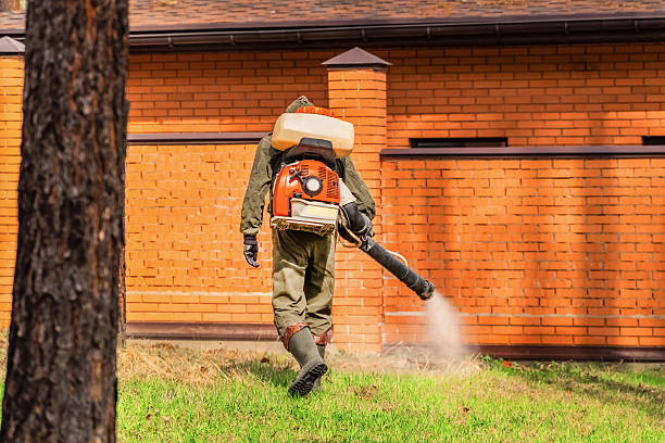 Bed Bug Clearance Verification and Documentation in Troup